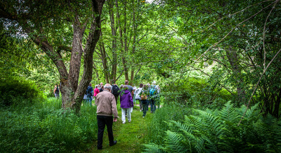 Arboretet i hårsholm