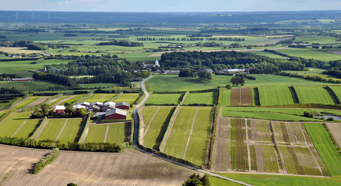 Landscape picture with fields. Photo: Jørgen Primdahl